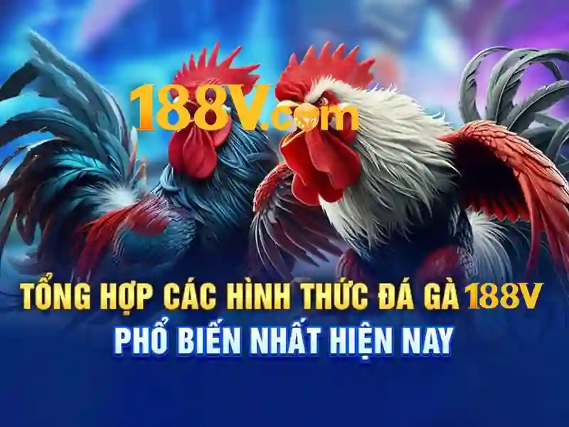 Tong quan giao dien rut tien tai nha cai 188v uy tin Tong quan giao dien rut tien tai nha cai 188v uy tin