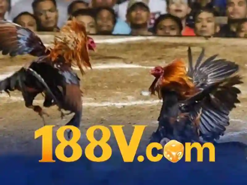 tải 188v: Trải nghiệm đột phá cho người dùng Việt 1 Đăng Nhập