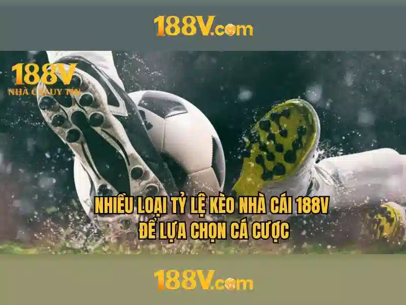 Nguồn gốc và ngữ cảnh