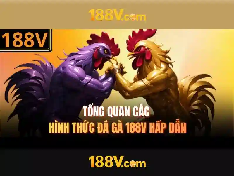 188v và hành trình ký hiệu trong nghệ thuật đương đại 1 Đăng Nhập
