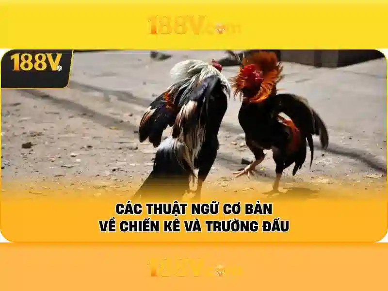 Khái niệm về điện áp 188V