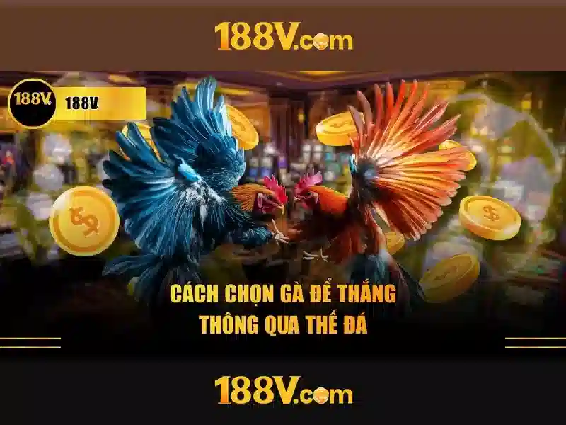 Ứng dụng và tác động của 188v