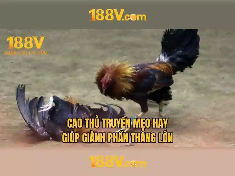 Đăng Nhập