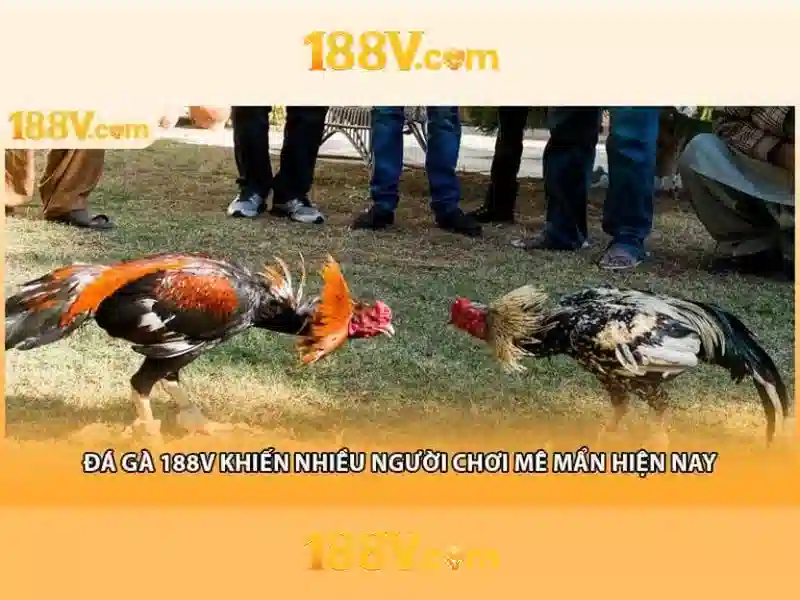 188v 188vv com vn – Chủ đề tổng quan và giá trị cốt lõi 188v 188vv com vn – Chủ đề tổng quan và giá trị cốt lõi