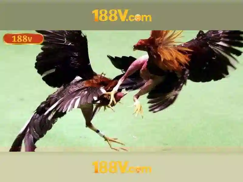 Nguồn gốc của 188v
