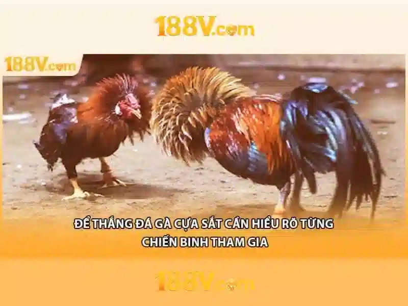 188v no hu – Tóm tắt chủ đề và giá trị cốt lõi 188v no hu – Tóm tắt chủ đề và giá trị cốt lõi