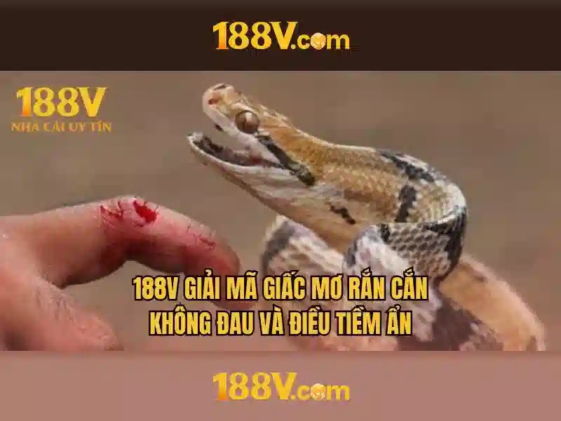 Khám phá khái niệm 188v