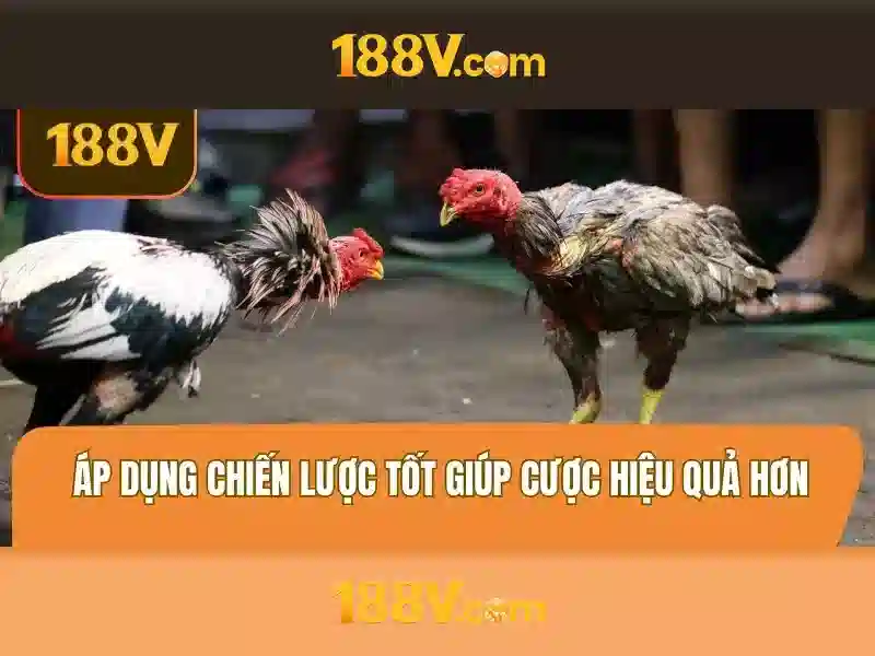 Đăng Nhập