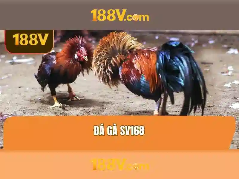 Khái niệm cơ bản về 188v\n<h>Ứng dụng và ảnh hưởng của 188v</h>\n<p>Trong thực tế, 188v có thể được áp dụng trong tối ưu hóa mạng lưới cảm biến, hệ thống đám mây phân tán và kiến trúc phần mềm microservices. Các ứng dụng này giúp tăng tốc độ xử lý, giảm độ trễ và cải thiện khả năng phục hồi của toàn bộ hệ thống.</p>\n<h>Tương lai và triển vọng của 188v</h>\n<p>Định hướng tương lai cho 188v tập trung vào sự giao thoa giữa trí tuệ nhân tạo, tính toán biên và tích hợp dữ liệu thời gian thực. Khi các hệ thống ngày càng phức tạp, 188v hứa hẹn mang lại hiệu quả cao hơn và khả năng thích nghi với các thách thức mới của kỹ thuật số.</p>