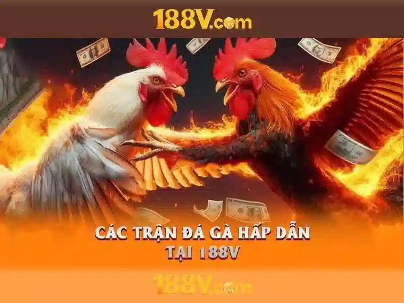 Các ứng dụng tiềm năng