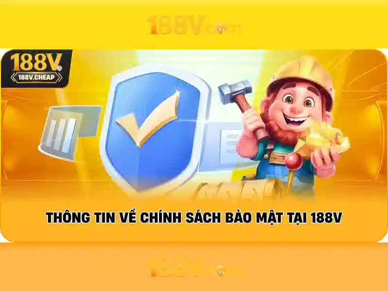 Trải nghiệm người dùng và Phản hồi cộng đồng