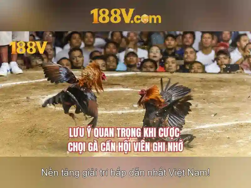 188V: nguồn gốc và ý nghĩa 188V: nguồn gốc và ý nghĩa