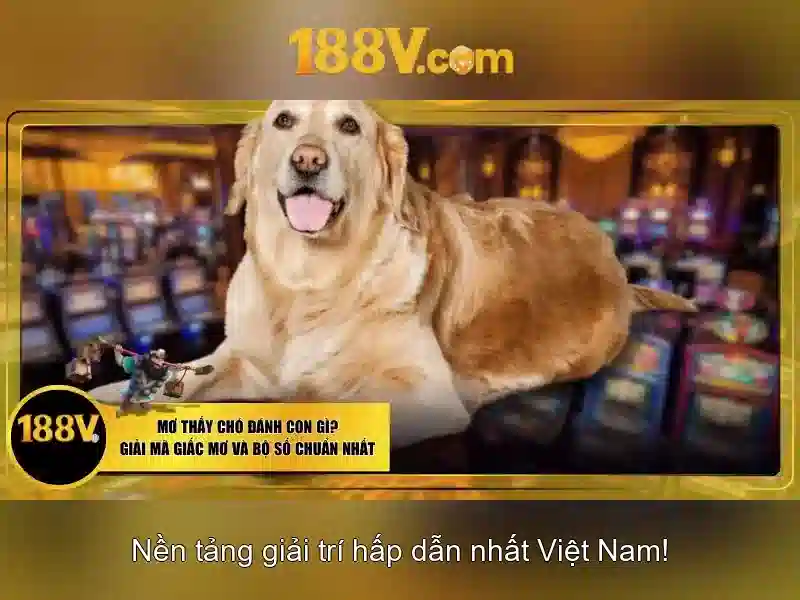 So sánh với các mức điện áp khác