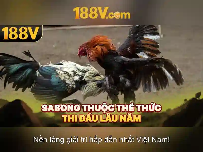 Khái quát tương lai của 188v Khái quát tương lai của 188v