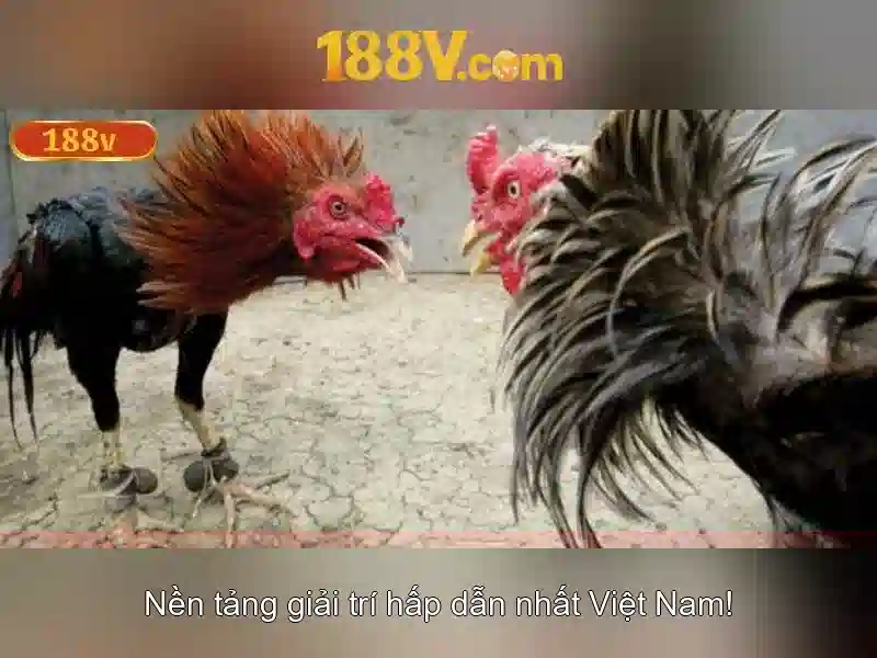 Đăng Nhập