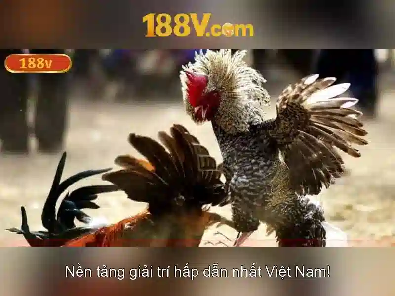 Ứng dụng và thực tế của 188V Ứng dụng và thực tế của 188V