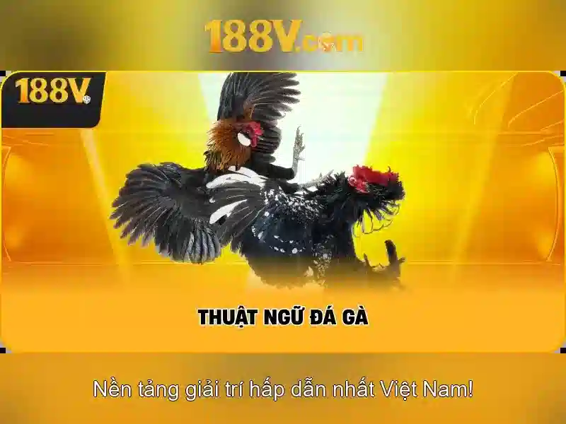 Giới thiệu về 188V