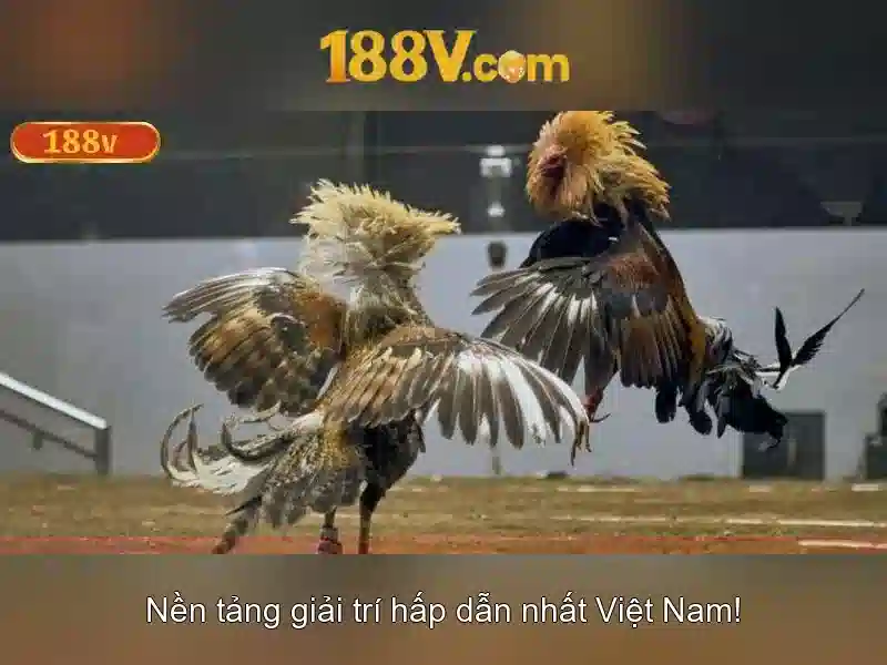 Ứng dụng và ảnh hưởng\n\n<h>Thử thách và triển vọng</h>\n<p>Điều phối giữa hiệu suất, chi phí và truy cập công khai là thách thức lớn. Tuy nhiên, 188v cung cấp một khuôn khổ mở cho sáng tạo, khuyến khích cộng đồng thử nghiệm và đưa ra các phiên bản mới, phù hợp với nhiều nền tảng và thiết bị khác nhau.</p>