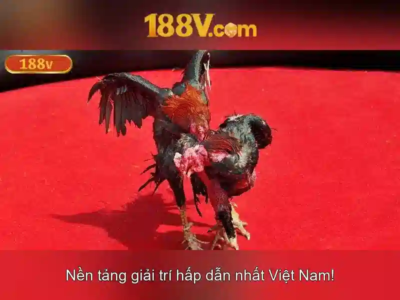 Đăng Nhập
