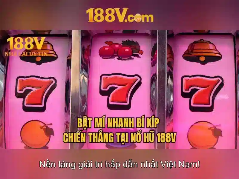 Trải nghiệm người dùng và phản hồi cộng đồng