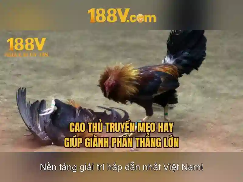 An toàn và ý thức khi làm việc với 188V