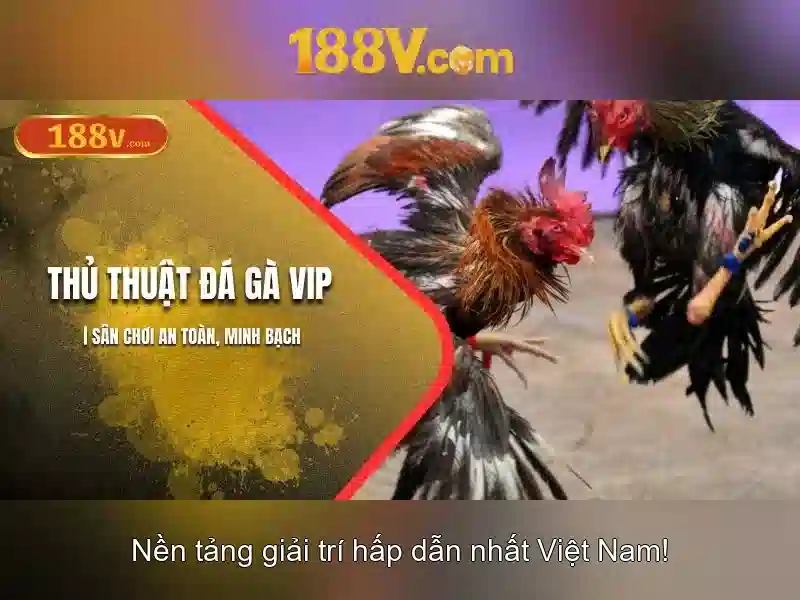 188v là gì và tại sao nó quan trọng? 1 Đăng Nhập
