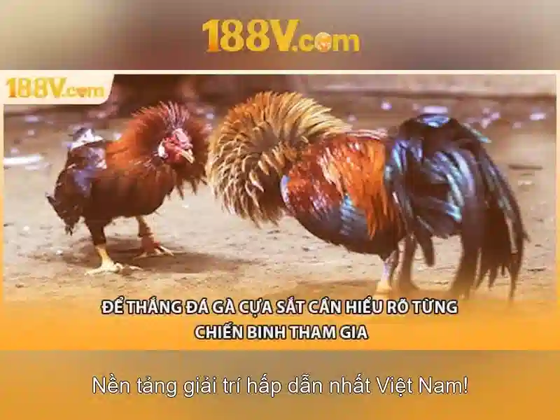 188v: hành trình động lực và nghệ thuật Go88
