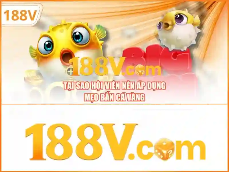 188v con – Sản phẩm và Dịch vụ chính