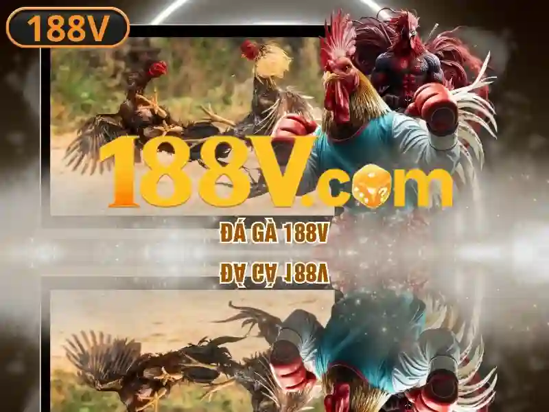 188v com – Tổng quan chủ đề và giá trị cốt lõi