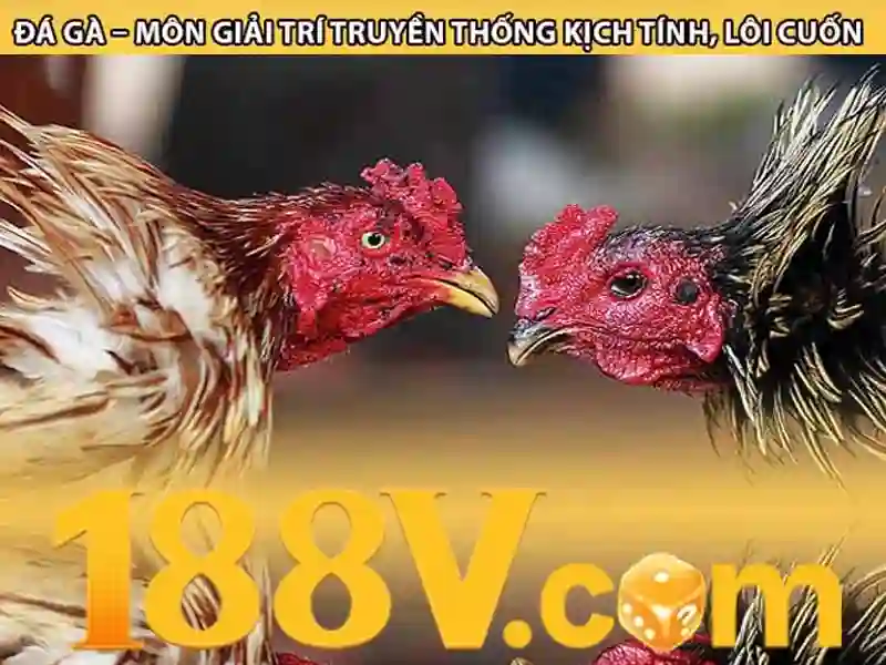 tai 188v – Tóm lược chủ đề và giá trị cốt lõi tai 188v – Tóm lược chủ đề và giá trị cốt lõi