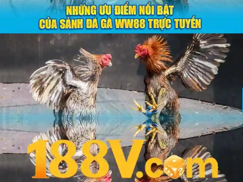 Đăng Nhập